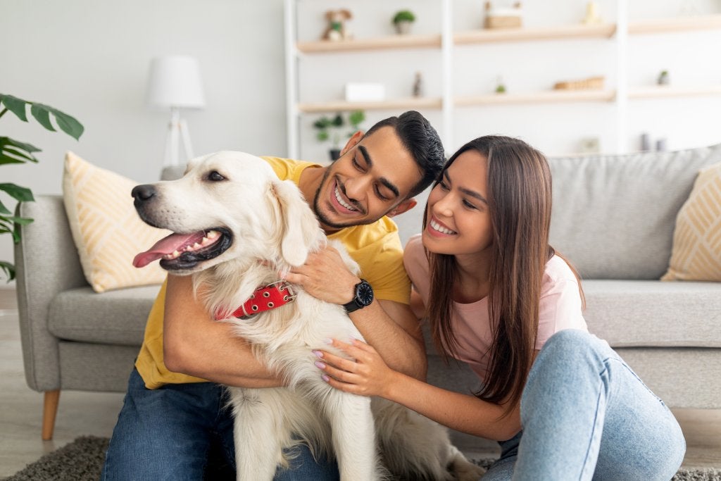 A happy multiracial couple scratching their pet Golden Retriever, sitting on floor at home.