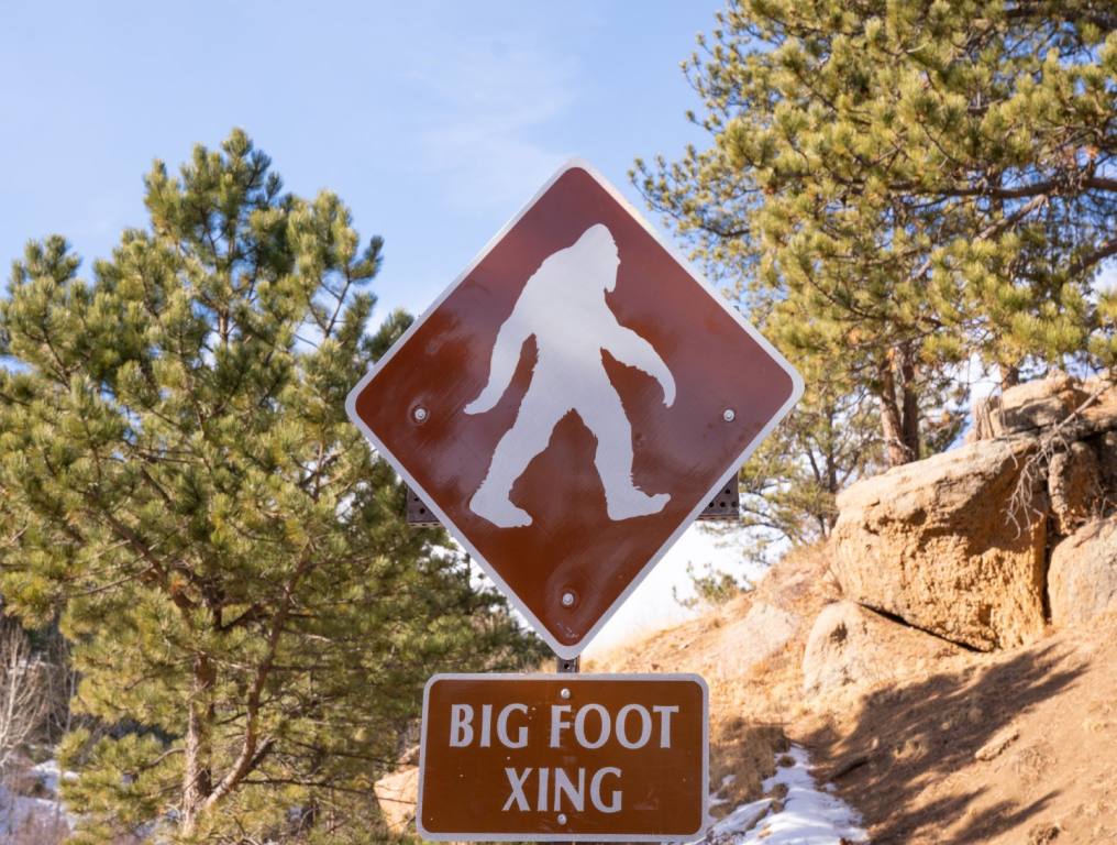 Big brown sign with a giant Sasquatch in white printed on it. A second signe below says Big Foot Xing.