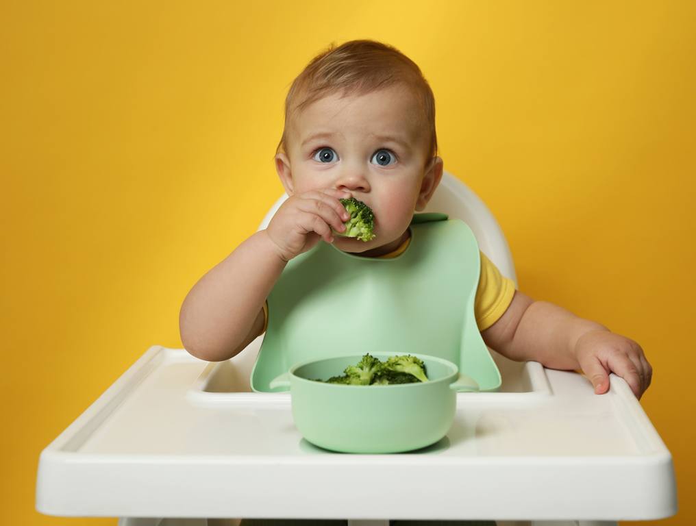 A baby eating a piece of broccoli in front of a yellow background.