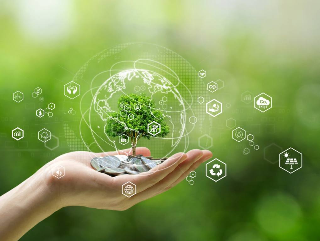 A woman's hand is held out holding an image of a small tree surrounded by clean energy symbols.