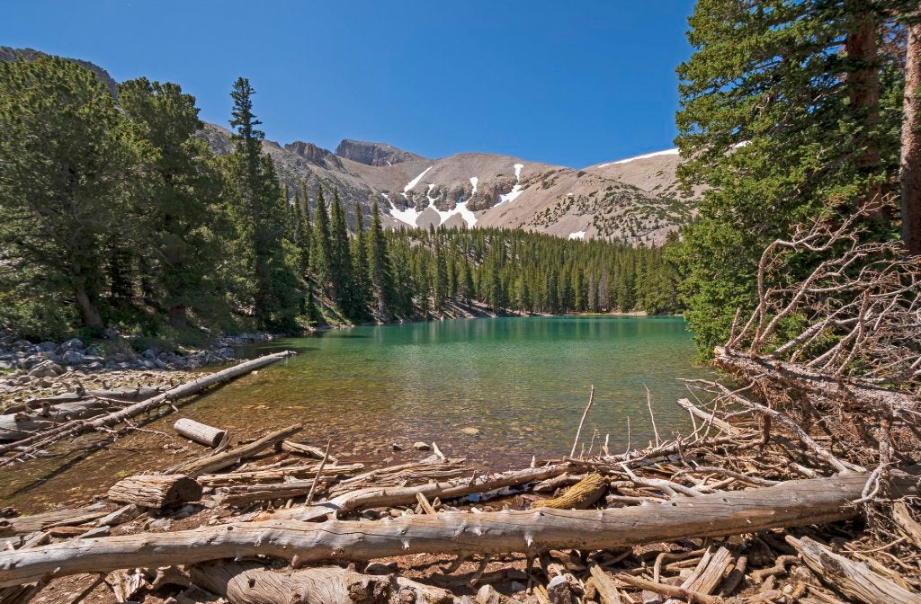 View of a small lake from the shore with tree trunks fallen near the water. There are pine trees, mountains, and blue sky in the background.