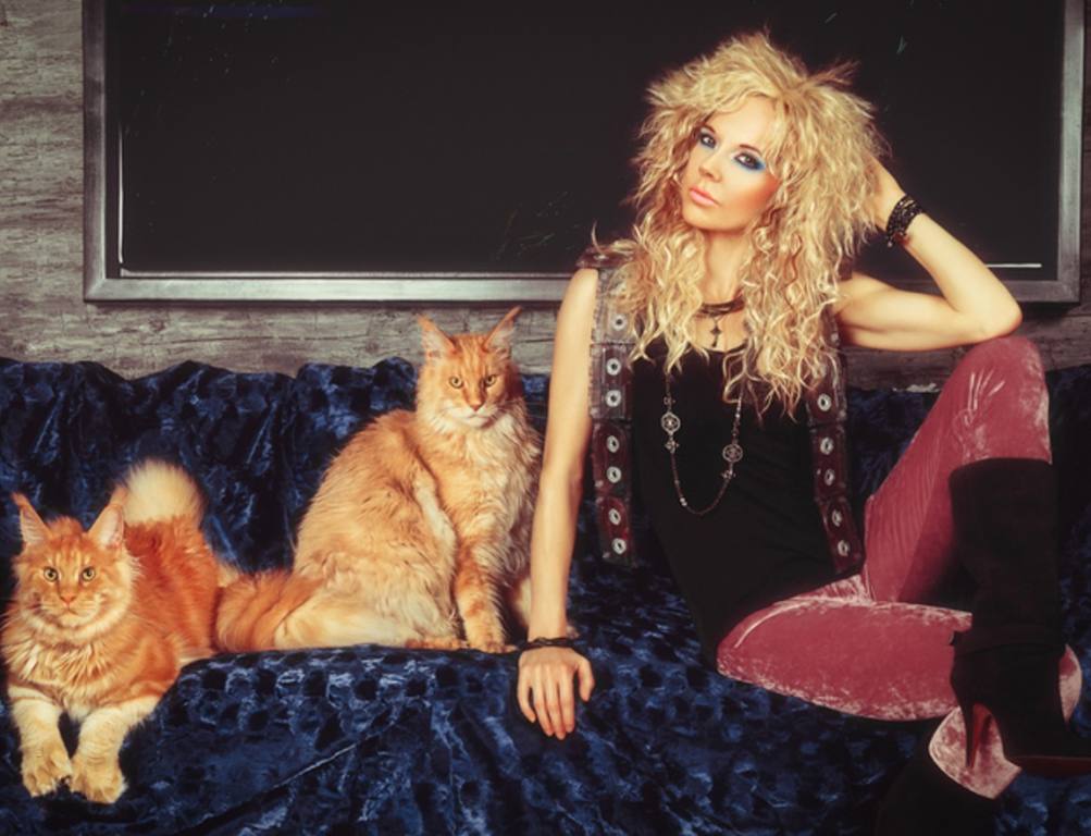 Vintage portrait of a beautiful young blonde woman with an 80s glam rock style mullet hairstyle, posing on a couch covered with a blue throw, sitting next to two ginger purebred Maine Coon cats