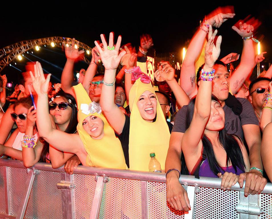 17th Annual Electric Daisy Carnival - Day 1 people in the crowd