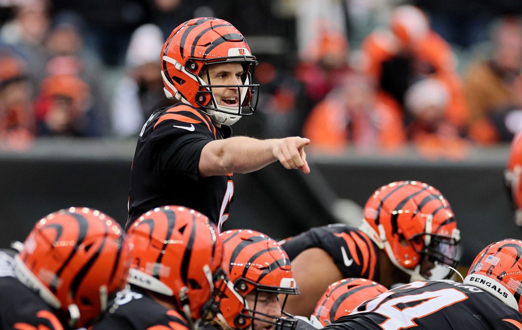 Cleveland Browns v Cincinnati Bengals