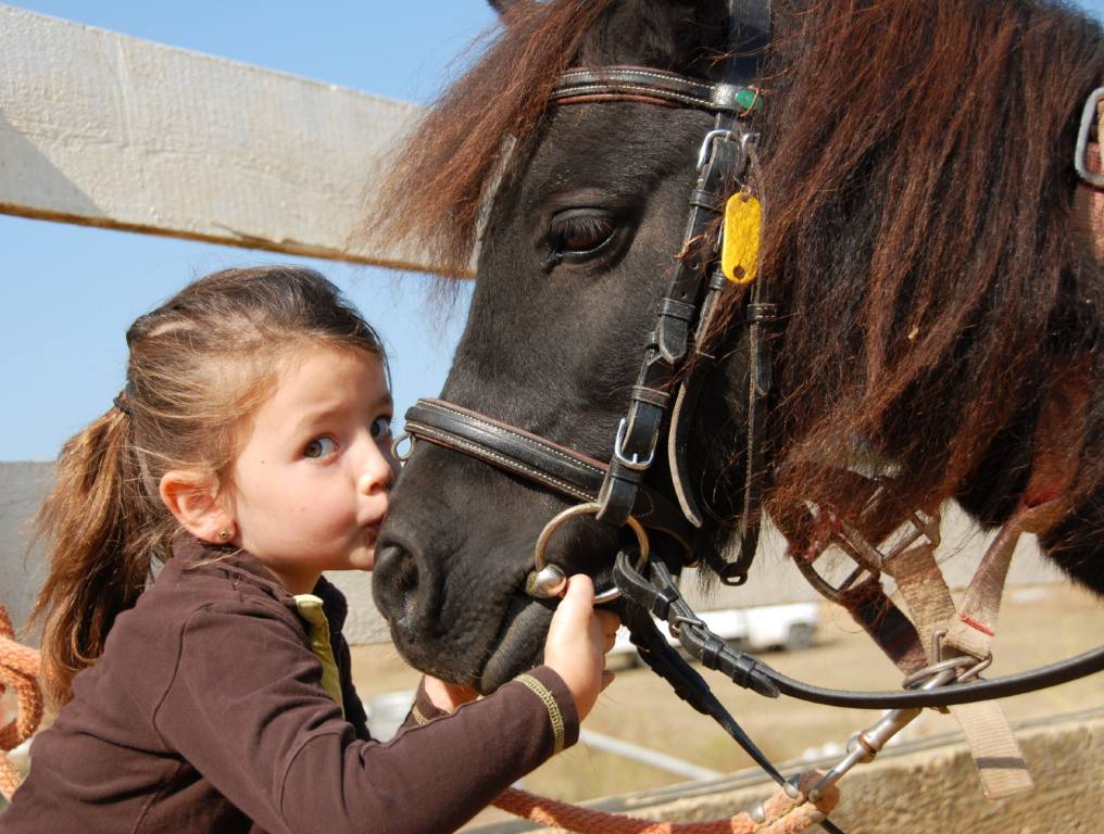 Las Vegas summer camp for kids at The Ranch Las Vegas offers kids a great way to spend the summer outdoors. Photo of a female child. She has brown hair and is wearing a brown sweater. She is kissing the nose of a Shetland pony near a wooden ranch fence on a sunny day in the desert.