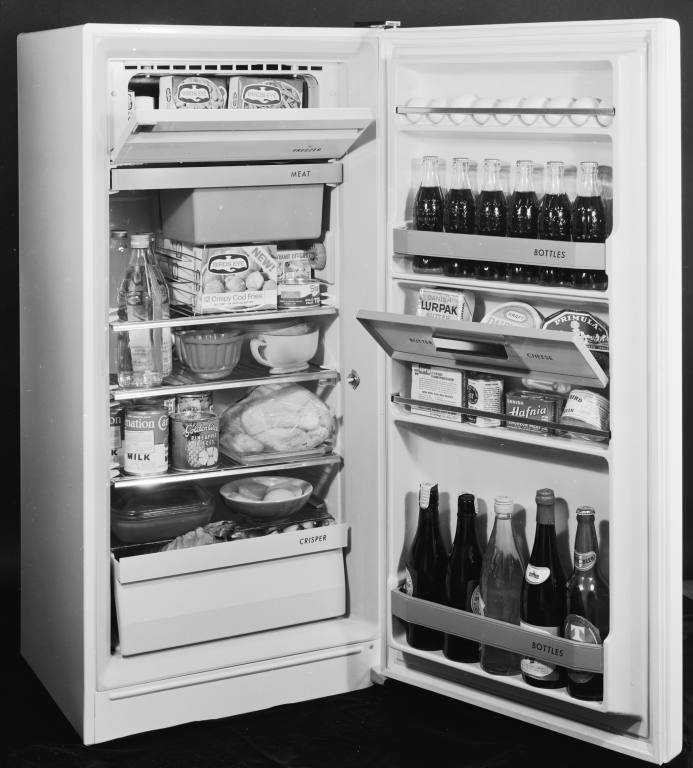 A fully stocked refrigerator,