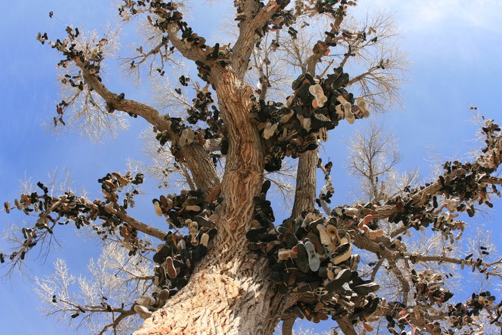 The Middlegate Nevada Shoe Tree