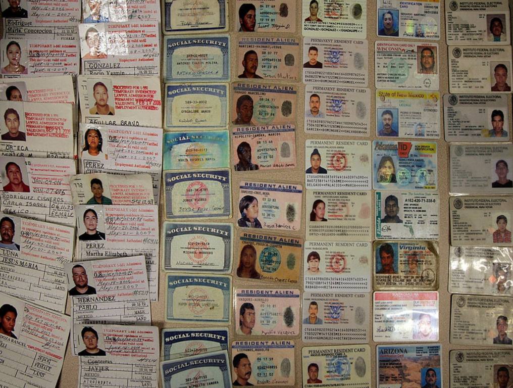 Fake I.D. and Social Security cards that were seized.