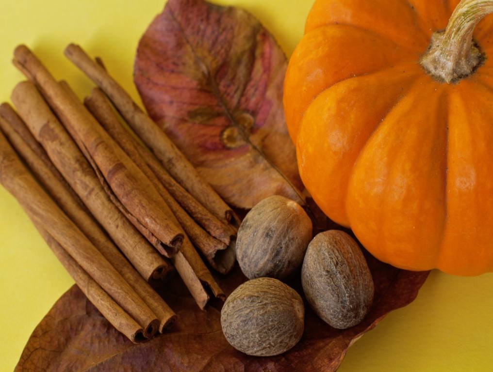 Trader Joe's Pumpkin Spice Products: Website Pays $1,000 To Taste Them All