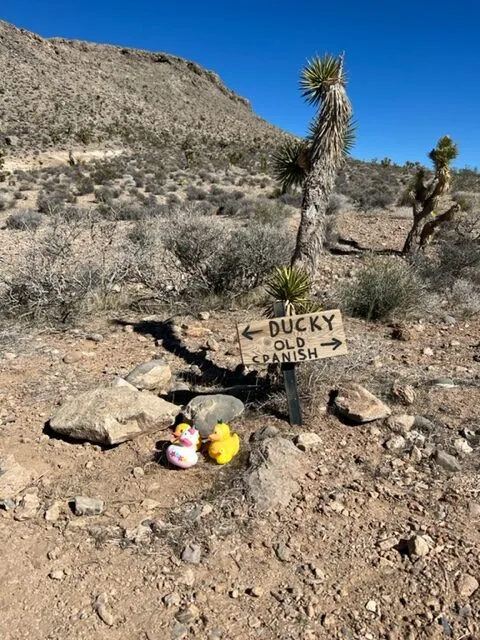 Here's All You Need To Know About The Rubber Ducky Trail - Secret Las Vegas