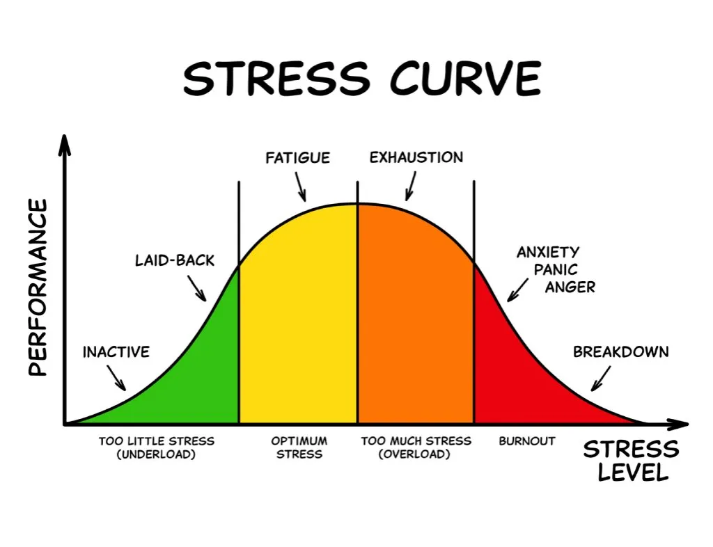 Illustrated infographic showing a stress curve. Green on the left arks in the middle, which is yellow and orange, on the right the ark comes back down in red. Various words and arrows are indicating what effects each section has on our lives.