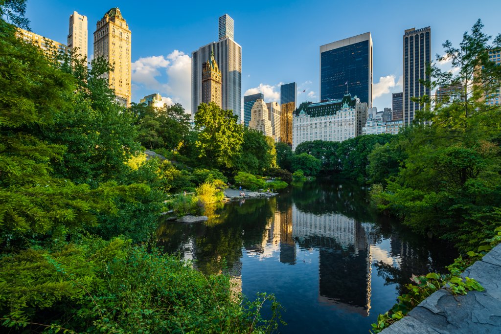 Central Park Pond in New York surrounded by green trees with skyscrapers in the background.