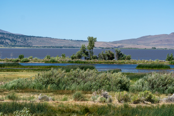 5 Of The Best Nevada Campgrounds And State Parks